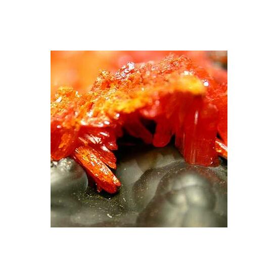 Crocoite