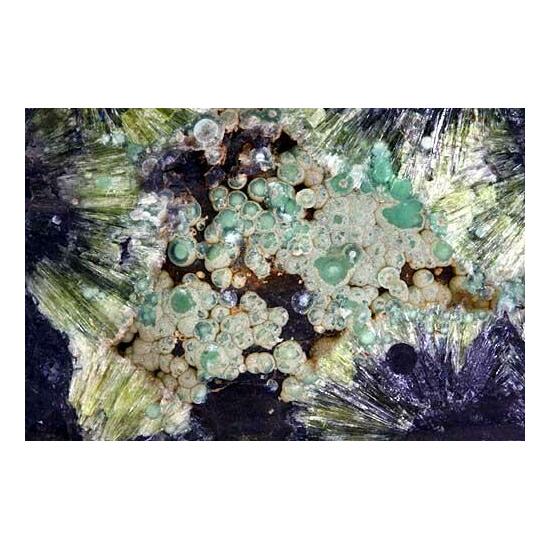 Variscite