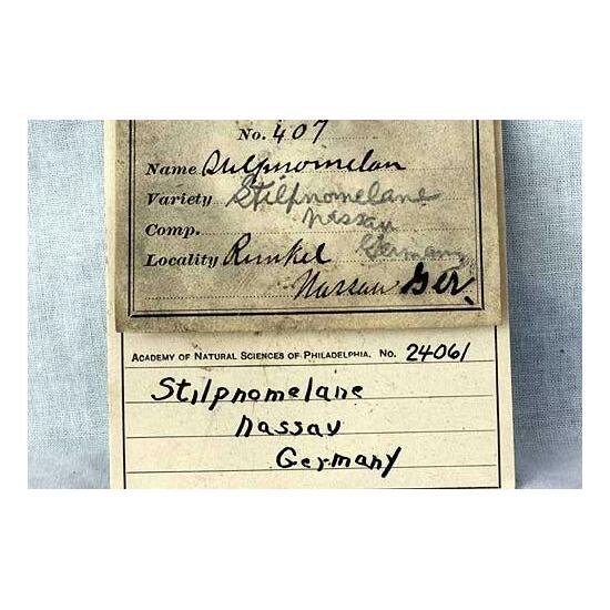 Stilpnomelane