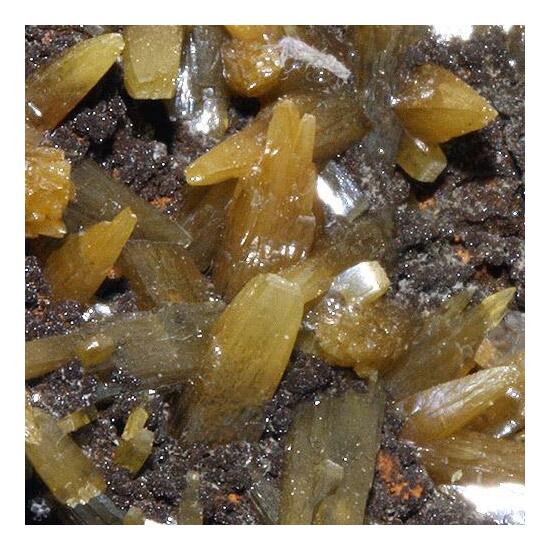 Wulfenite