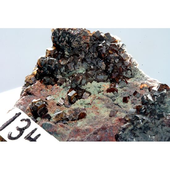 Apatite Var Francolite