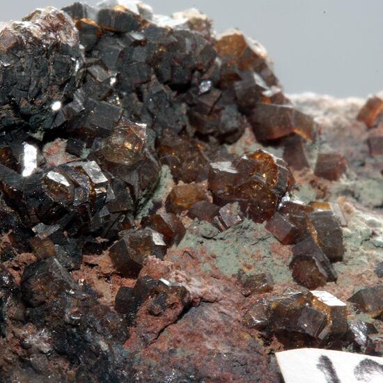 Apatite Var Francolite