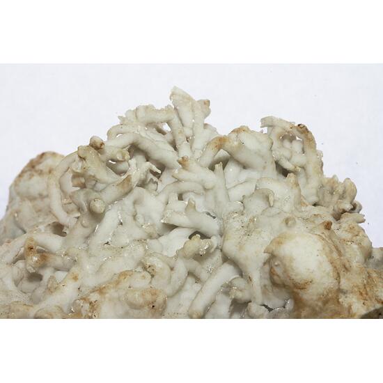 Aragonite Var Flos Ferri