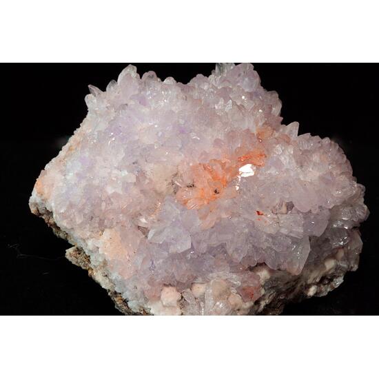 Creedite