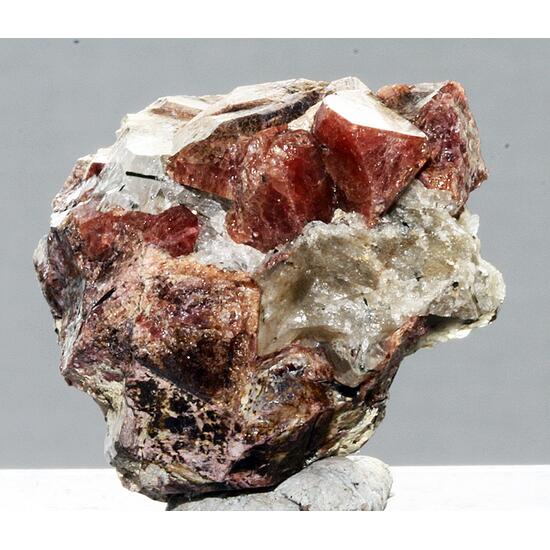 Eudialyte