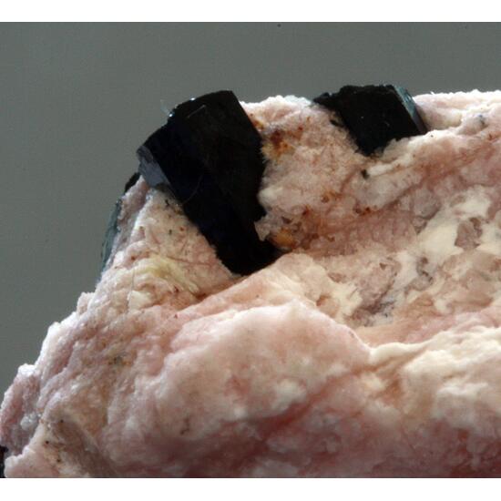 Leucosphenite Polylithionite & Neptunite