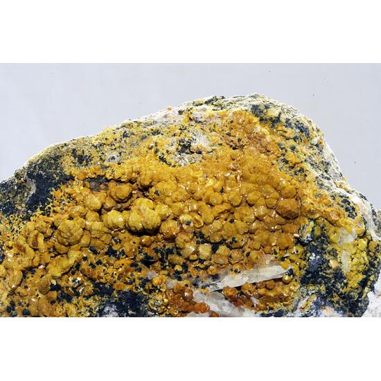 Pyromorphite Var Campylite