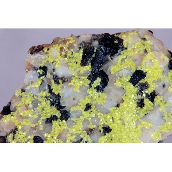 Autunite