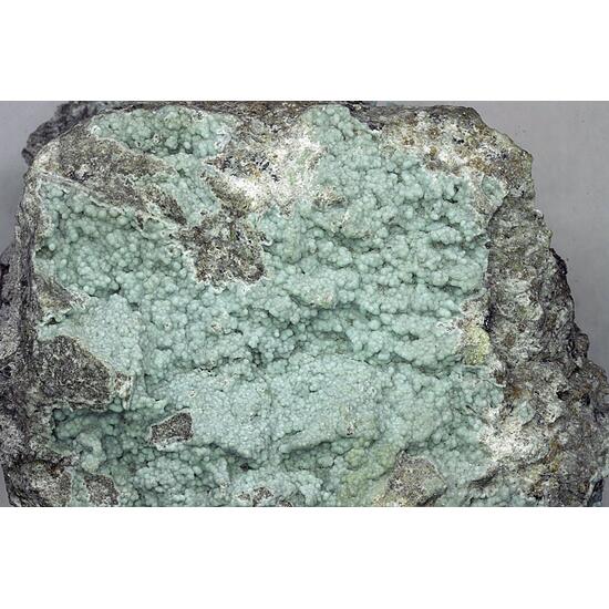 Fluorapatite Var Carbonate-rich Fluorapatite