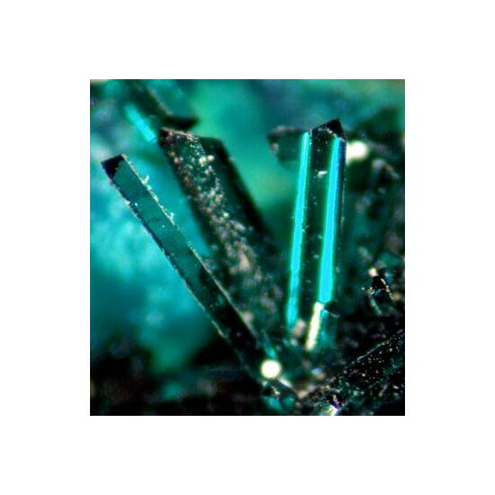 Atacamite With Pseudomalachite & Picropharmacolite