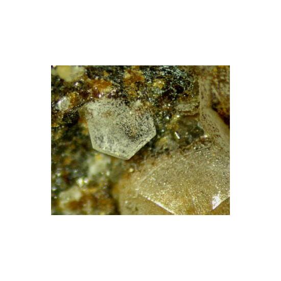 Caracolite Psm Glauberite With Jarosite