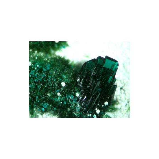 Atacamite With Olivenite & Picropharmacolite