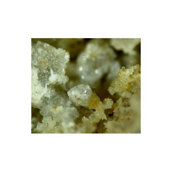 Challacolloite With Cotunnite & Uklonskovite