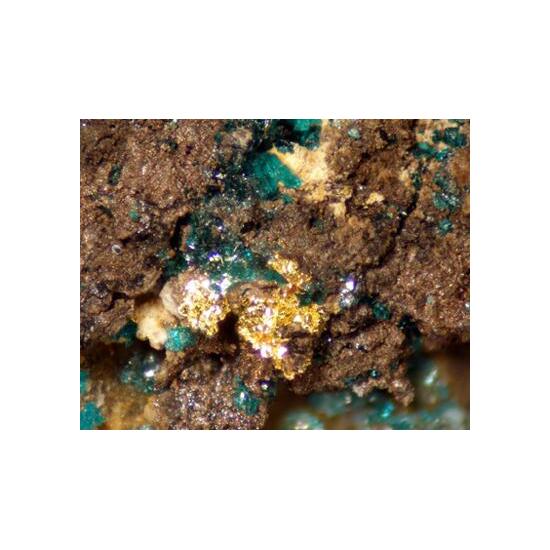 Gold With Herbertsmithite