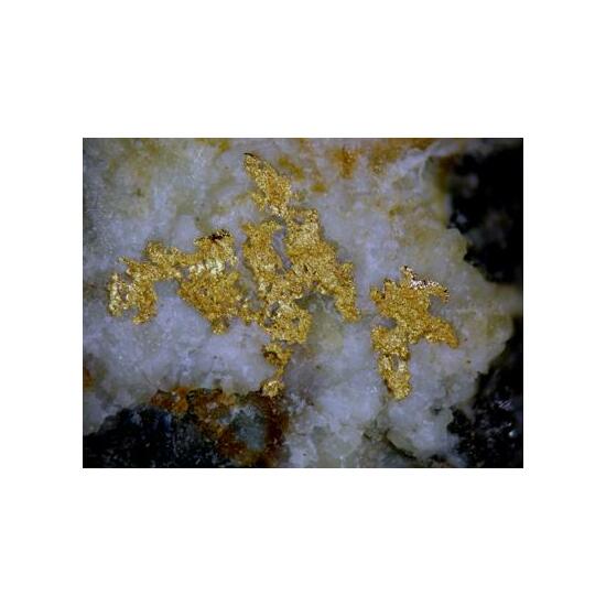 Gold With Pseudoboleite