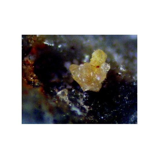 Chlorargyrite Brochantite & Gold