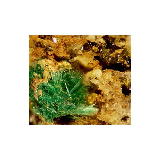 Molybdofornacite Wulfenite Mimetite & Malachite