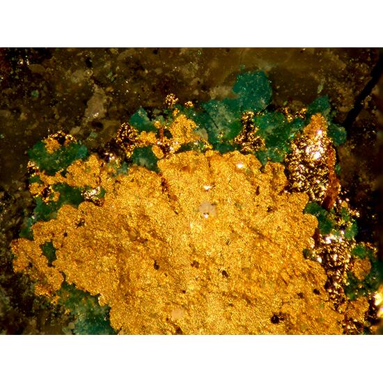 Gold Boleite & Atacamite