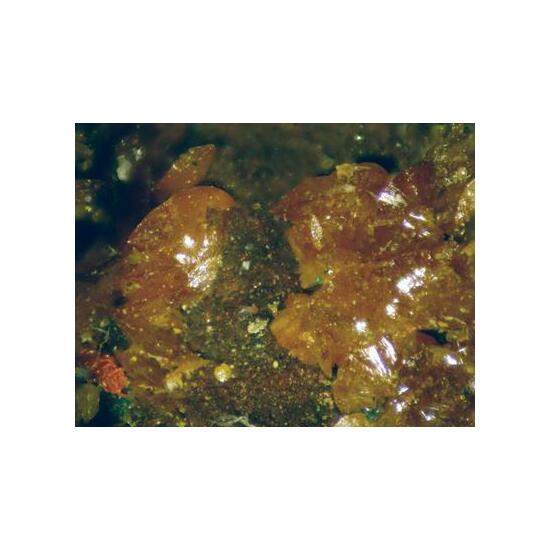 Phoenicochroite With Schwartzembergite