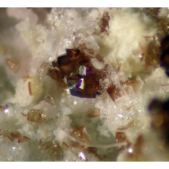 Canutite Magnesiokoritnigite & Lavendulan