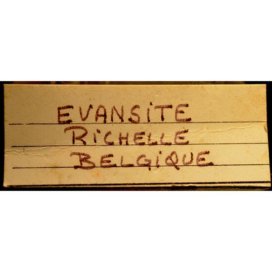 Evansite
