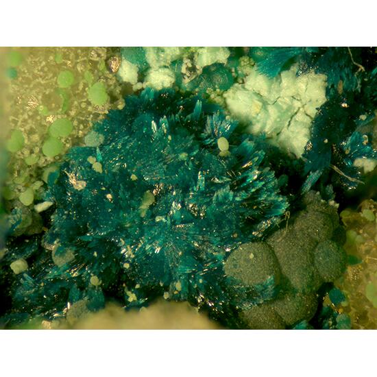 Gilmarite Conichalcite & Manganoan Olivenite