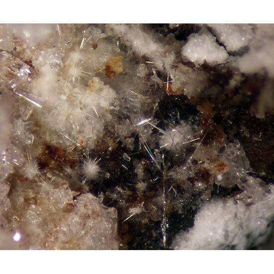 Canutite Magnesiokoritnigite Lavendulan & Halite