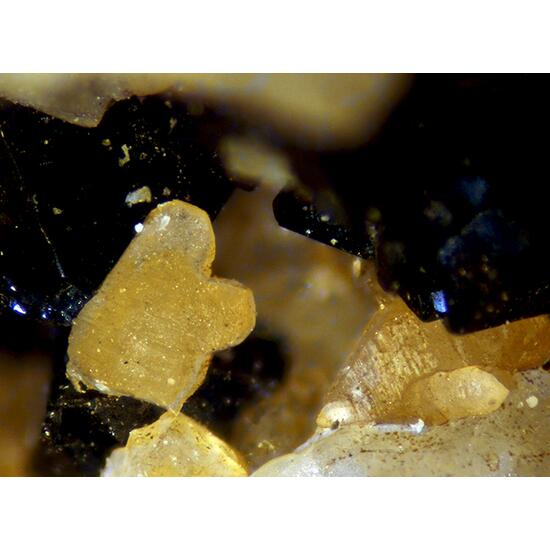 Clinohumite & Chlorospinel