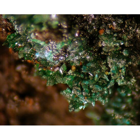 Leverettite