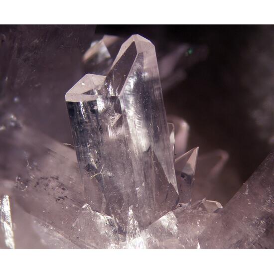 Creedite
