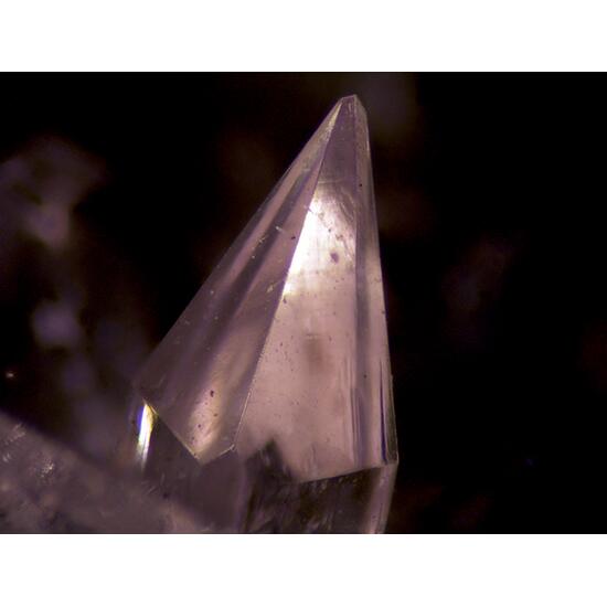 Creedite