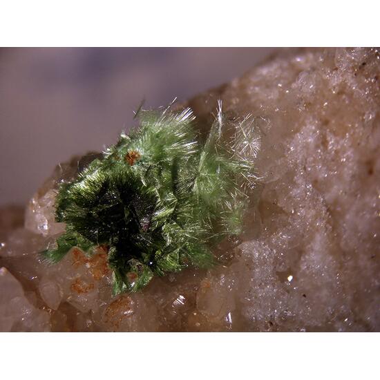 Agardite