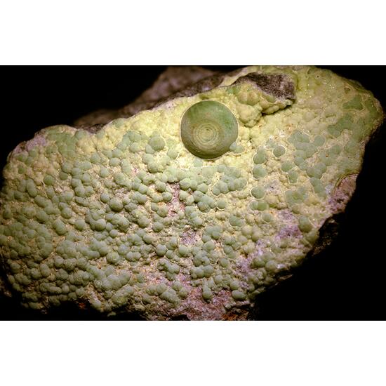 Wavellite