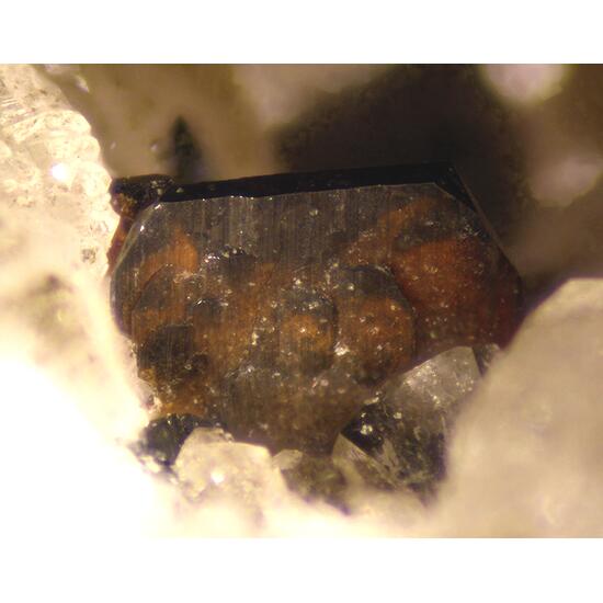 Brookite & Anatase