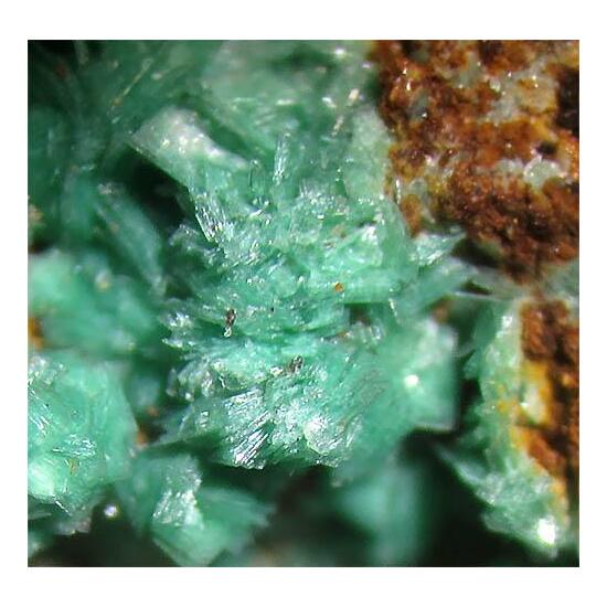 Metazeunerite