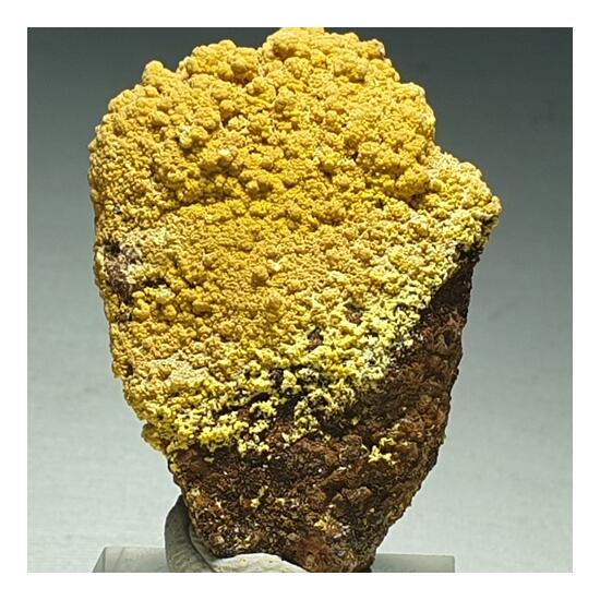 Mimetite