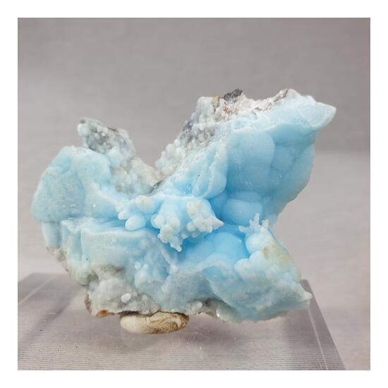 Aragonite Var Flos Ferri