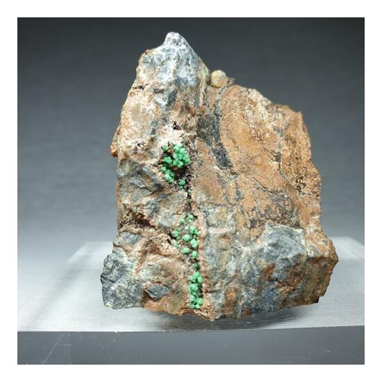 Cabrerite & Siderite