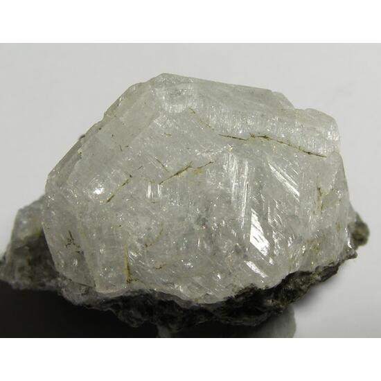 Phacolite