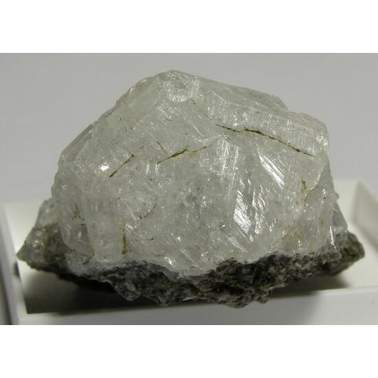 Phacolite