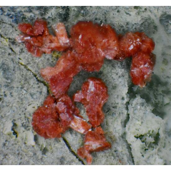Clinoptilolite-K
