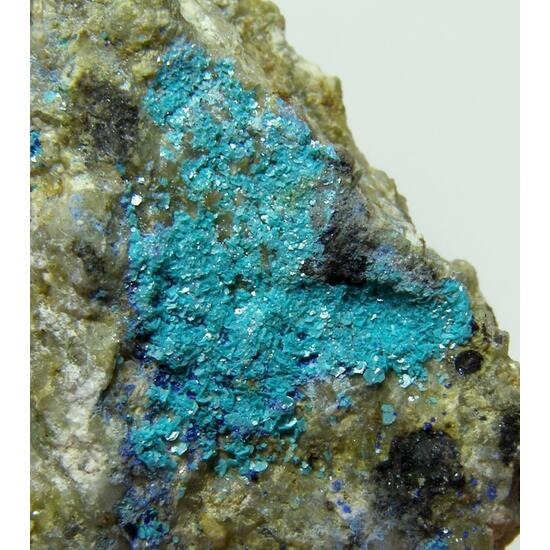 Chalcophyllite