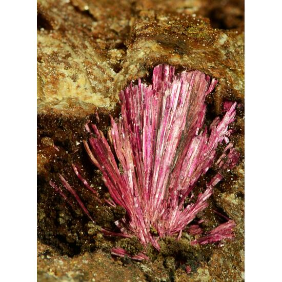 Erythrite