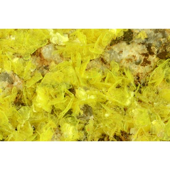 Autunite