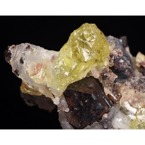 Forsterite & Magnetite