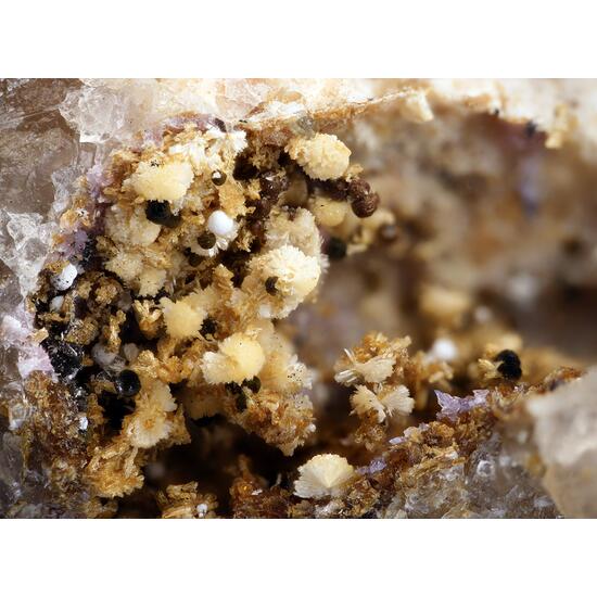 Kingsmountite Mitridatite Jahnsite-(CaMnMn) & Matulaite