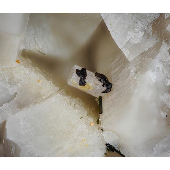 Chevkinite-(Ce) Britholite-(Ce) & Eudialyte