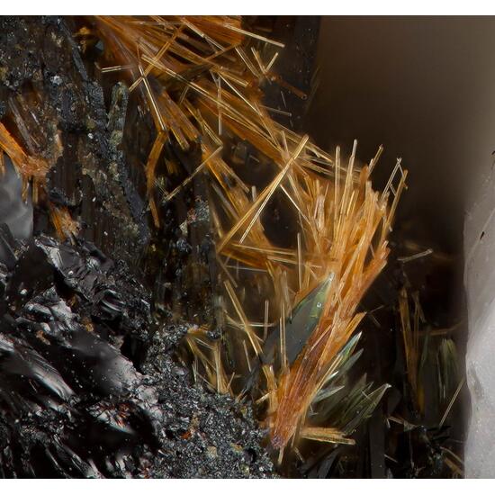 Astrophyllite