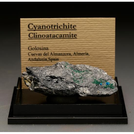 Cyanotrichite & Clinoatacamite