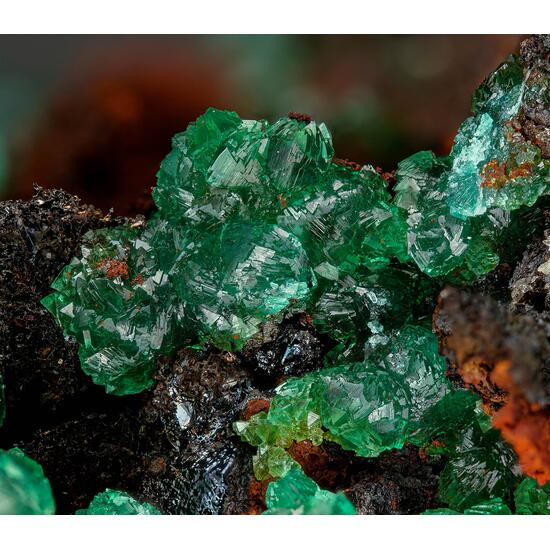 Cuprian Adamite